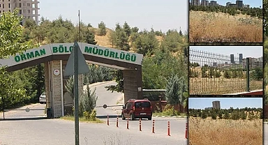 Şanlıurfa Orman bölge Müdürlüğü ne iş yapıyor?