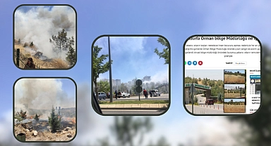 Şanlıurfa Orman Bölge Müdürlüğü Uyarıları dikkate almadı! Bir yangın daha çıktı