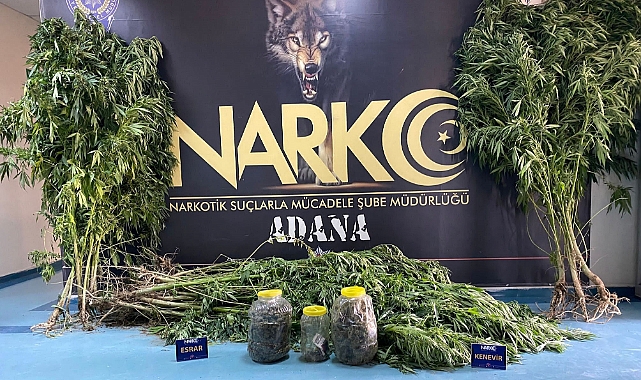 'Satmıyorum kullanıyorum' diyen uyuşturucu taciri tutuklandı