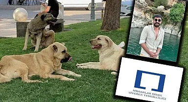 Siverek Mimarlar Odası'ndan açıklama geldi