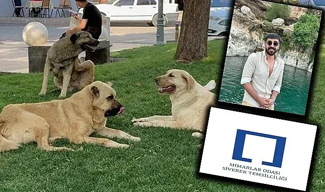 Siverek Mimarlar Odası'ndan açıklama geldi