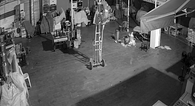 Siverek'te antika dükkanındaki hırsızlık olayı