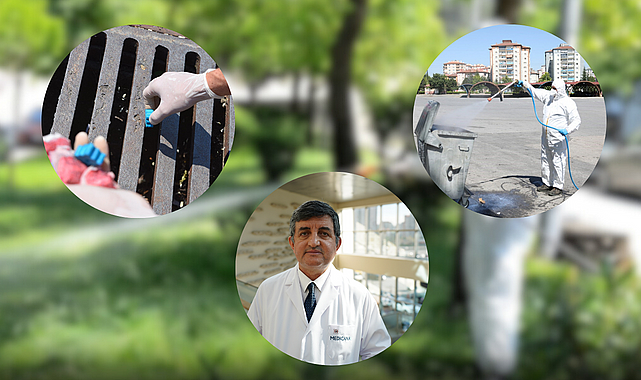 Sivrisinek ısırığına doğal önlem
