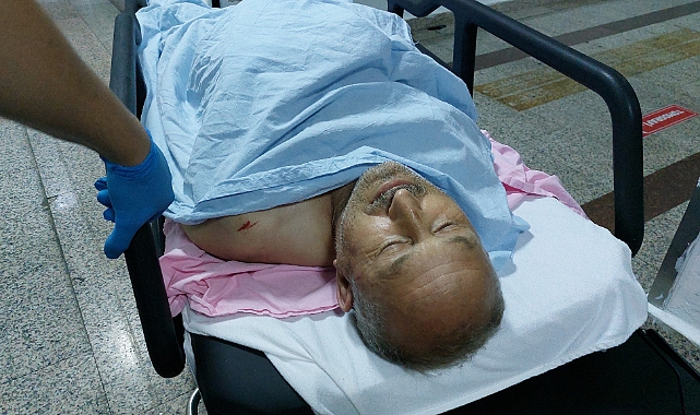 Sokak kedilerini kovduğu için bıçaklı saldırıda ağır yaralandı