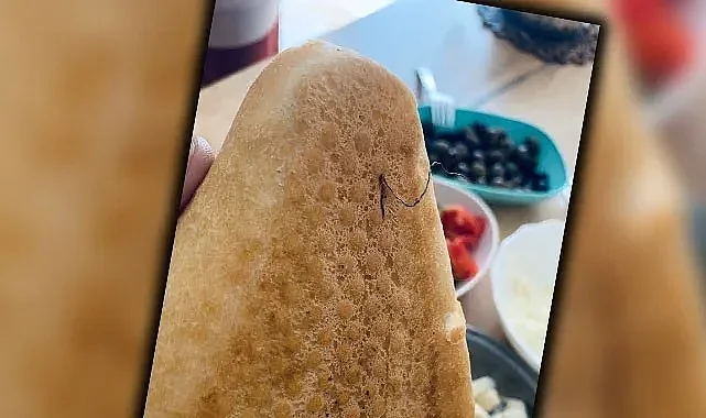 Urfa'da ekmekten çıkan madde mide bulandırdı!