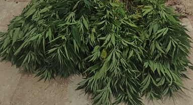 Uyuşturucu operasyonu: 1 şahıs tutuklandı