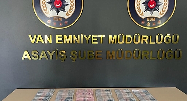 Van’da değişik suçlardan 24 kişi tutuklandı