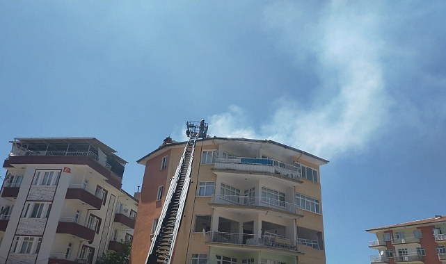 Yangında etkilenen güvercinleri itfaiye kurtardı