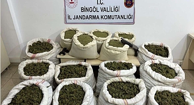 11 milyon kök kenevir ve 163 kilo toz esrar ele geçirildi