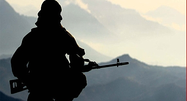 Urfa'nın sınırında hareketlilik! 2 terörist etkisiz hale getirildi