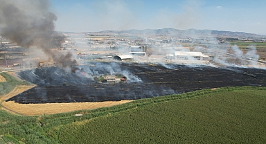 Anız yangını korkuttu