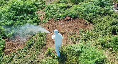 Aşırı sıcaklarda çıkan haşerelere dikkat !