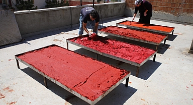 Biber salçası mesaisi başladı