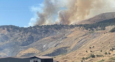 Bir ilde daha orman yangını meydana geldi