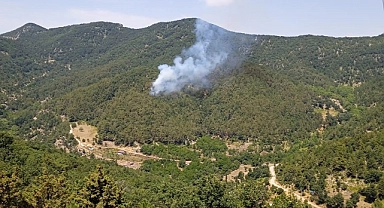 Bir ilde daha orman yangını meydana geldi