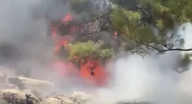 Bir ilde daha orman yangını meydana geldi