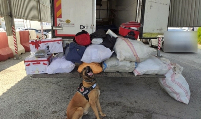 Durdurulan tırda 145 kilo 450 gram skunk ele geçirildi
