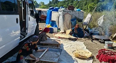 Fındık toplamaya giden Urfalı işçiler konteyner istiyor