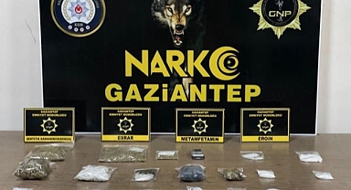 Gaziantep'te 25 kök kenevir ele geçirildi