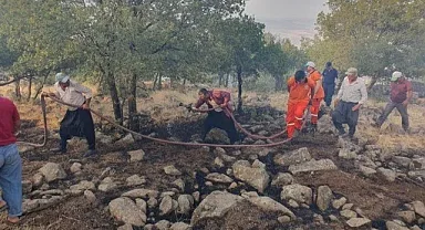 Gaziantep'te yıldırım düştü! Ormanlık alanı yandı