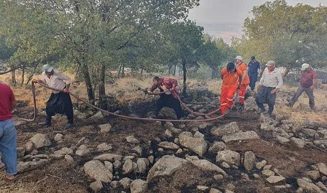 Gaziantep'te yıldırım düştü! Ormanlık alanı yandı