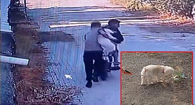 Hırsızların motosikleti çalışmayınca yaşadıkları panik anları kamerada