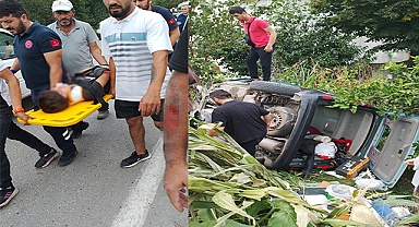 İşçilerini taşıyan minibüs kaza yaptı: Çok sayıda yaralı var