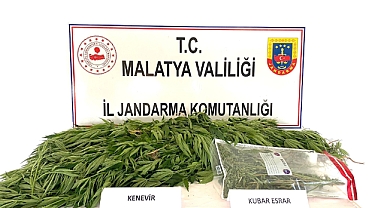 Jandarmadan uyuşturucu operasyonu