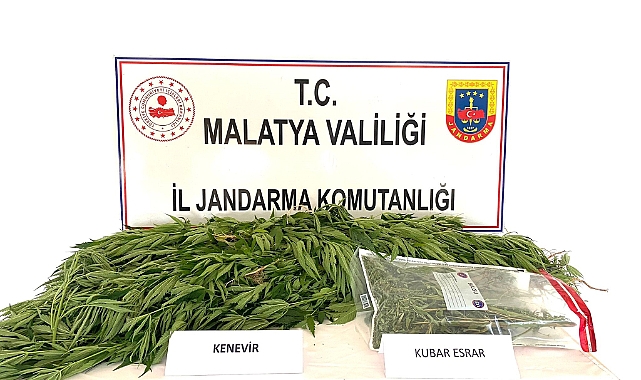 Jandarmadan uyuşturucu operasyonu