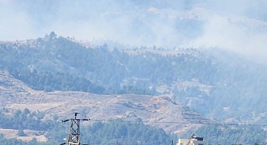 Kahramanmaraş'ta orman yangını