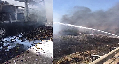 Kamyonda çıkan yangın ağaçlık alana sıçradı