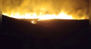 Karacadağ'da orman yangını