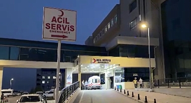 Kardeş kavgası kanlı bitti