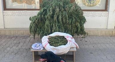 Mardin’de 4 buçuk kilo kubar esrar ele geçirildi