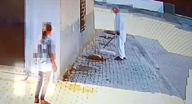 Mardin'de bastonuyla köpeği öldüren şahıs gözaltına alındı