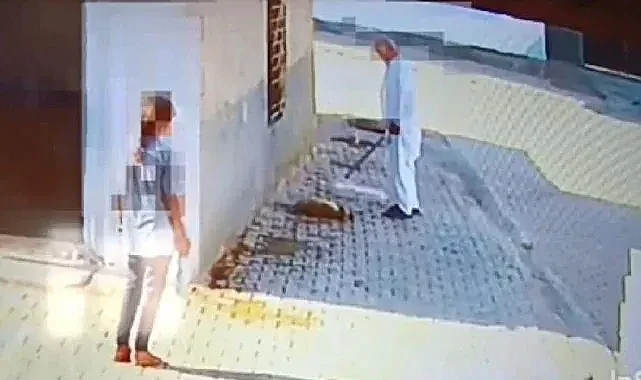Mardin'de bastonuyla köpeği öldüren şahıs gözaltına alındı