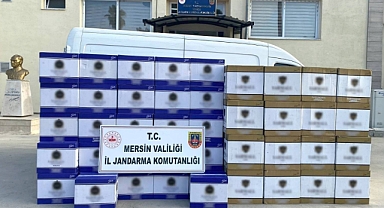 Mersin'de 2 milyon adet kaçak makaron ele geçirildi
