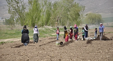 Mevsimlik tarım işçileri tarlalarda rızıklarını çıkarıyor