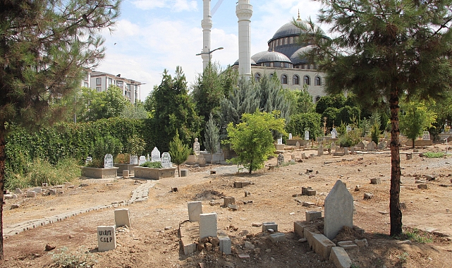 Mezarlıkta bebek cesedi bulundu