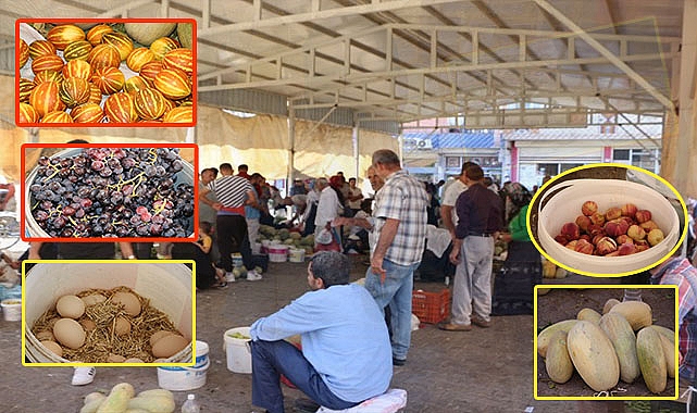 Nefes aldıran organik pazar: Domates, patlıcan ve biber 10 lira