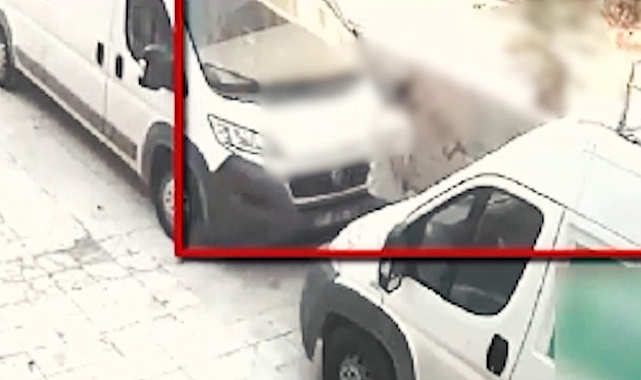 Park halindeki araçtan hırsızlık yapan şahıs tutuklandı