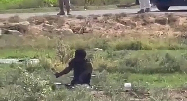 Şanlıurfa'da hastaneden kaçan kuduz hastası paniğe neden oldu