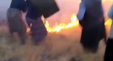 Şanlıurfa'da, merada yangın çıktı