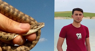Şanlıurfa'da yılanın ısırdığı genç yoğun bakıma alındı