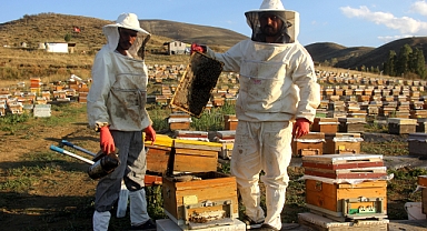 Sıcaklık ve iklim değişikliği rekolteleri düşürdü