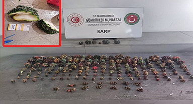 Sınır Kapısı'nda kaktüs operasyonu