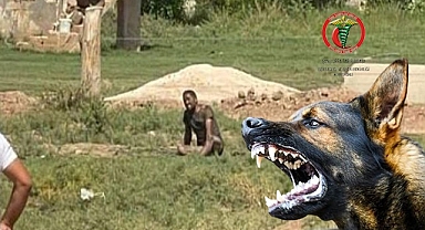 Tabipler odasından kuduz vakasına yönelik açıklama