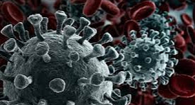 Taşkıran: ‘'Yetişkinler yılda en az bir kez sağlık taraması yaptırılmalı''