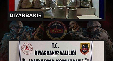 Terörün finans kaynağına bir darbe daha