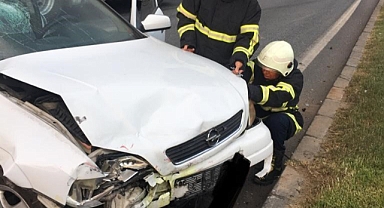 Trafik kazası: 5 yaralı